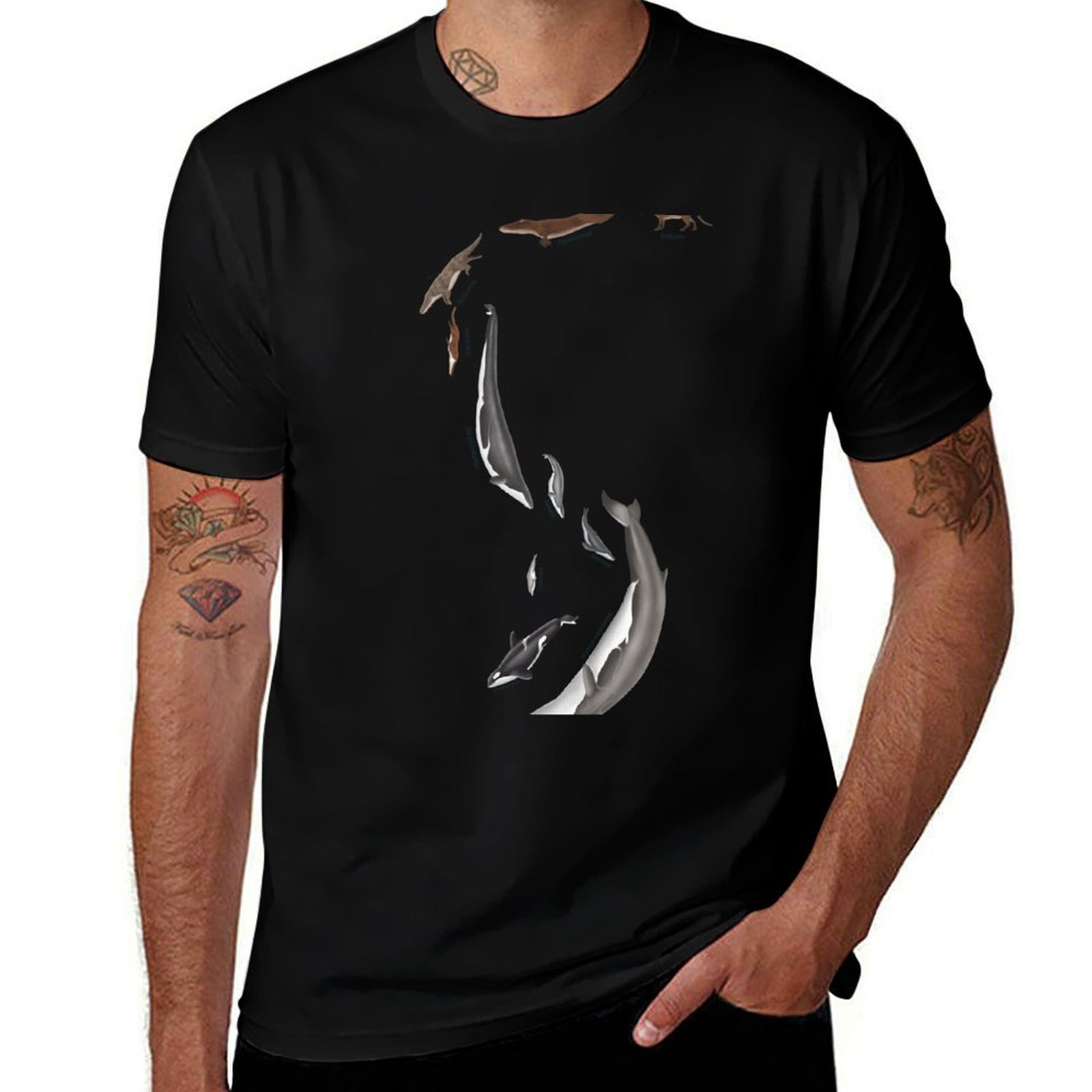 Street Fashion Evolution - Whale evolution - prehistoric and modern